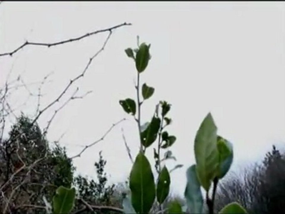 Karmate - E Asiye