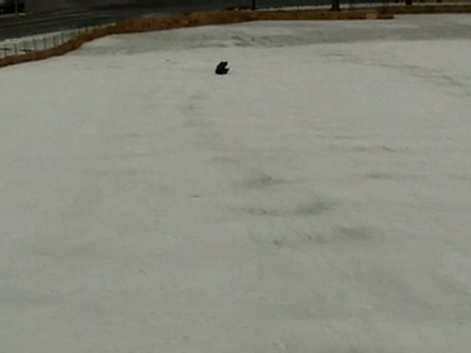 Alerte ! Accident de luge !