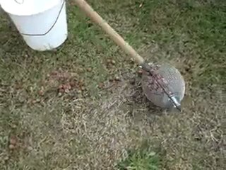 Yerden fındık toplama aparatı  www.kumanda.org