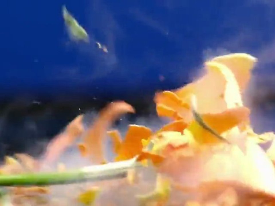 Flavour ft Tiwa Savage - Oyi - Remix - HD