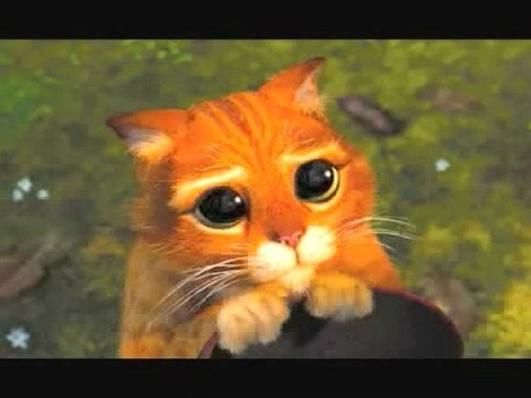 clip anglais neurosciences