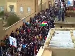 فري برس   مظاهرة عامودا جمعة المقاومة الشعبية 17 2 2012 ج8