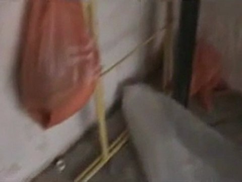 Total Plumber in Houston Texas