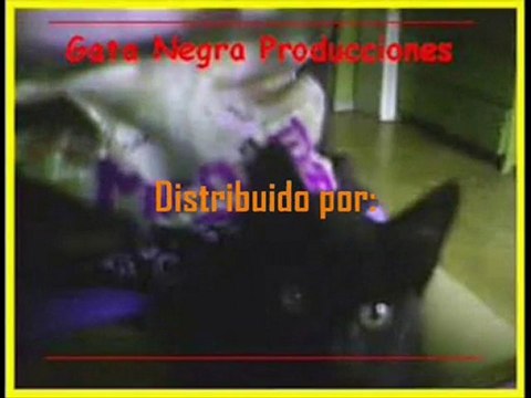 OA Yashaii Garcia Producciones y Gata Negra Producciones