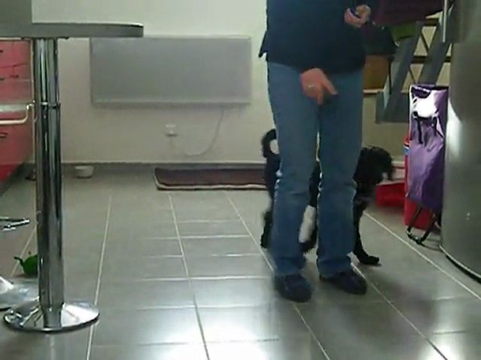 Recule - Cercle en avant  - Cercle arrière (apprentissage au shaping)