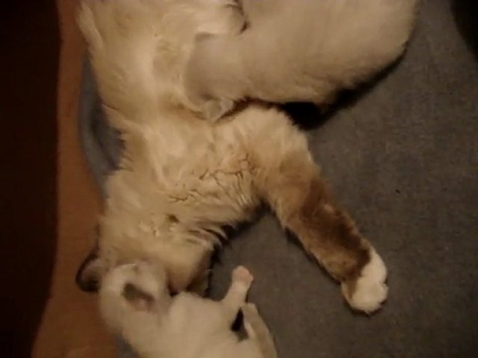 Un calin !