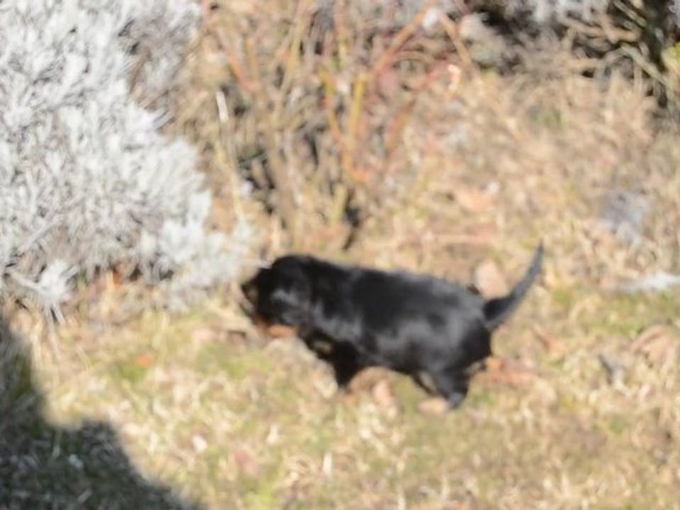 1ère sortie de HOLLY 22/02/2012...