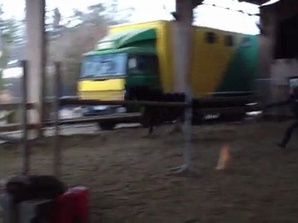 Vegas saut en liberté 3 ans 2