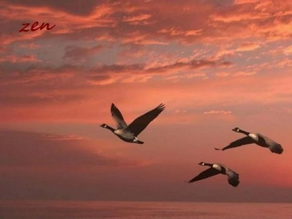 İlkay Akkaya -  Gidenlerin Ardından