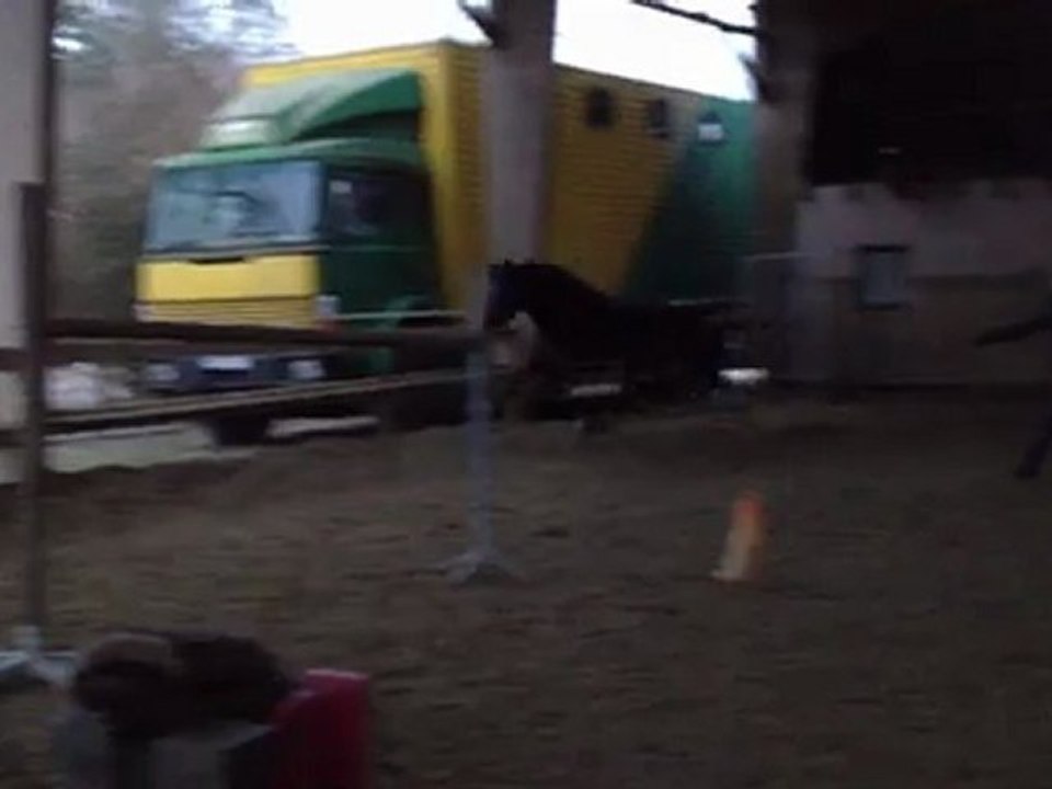 Vegas Saut en liberté 3 ans 3