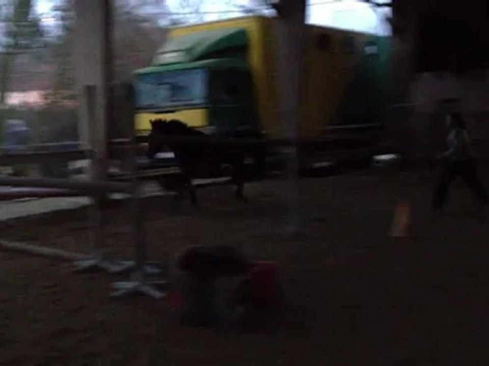 Vegas Saut en liberté 3 ans 4