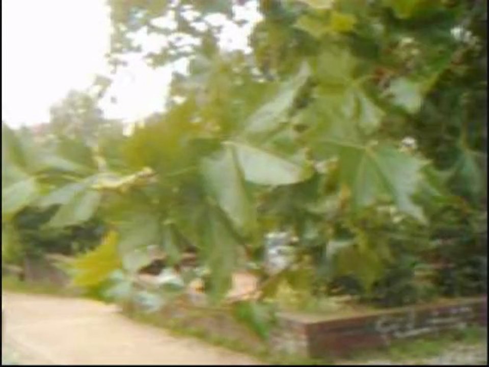 Ich gehe mit meiner Srühdose (Laterne)