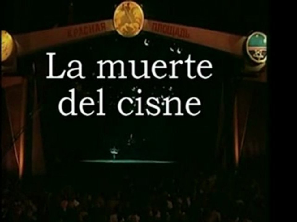 Cisne_18_02_2012
