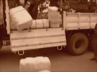 Zambia, Sinazongwe: Bednet Distributions