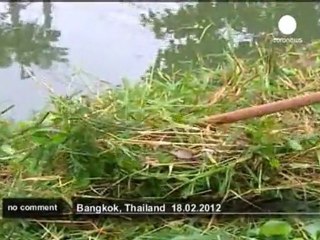 Thailand: Road repairs - no comment