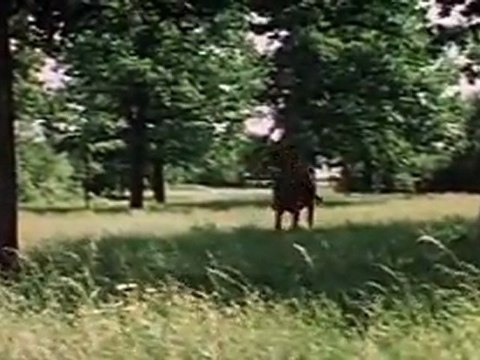 18 Высоцкий-Баллада о Любви-Стрелы Робин Гуда