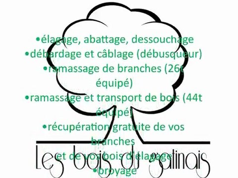 elagage, abattage, les bois du gatinais