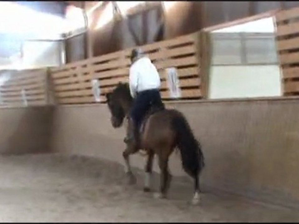 Essai cheval de 5 ans - 2012
