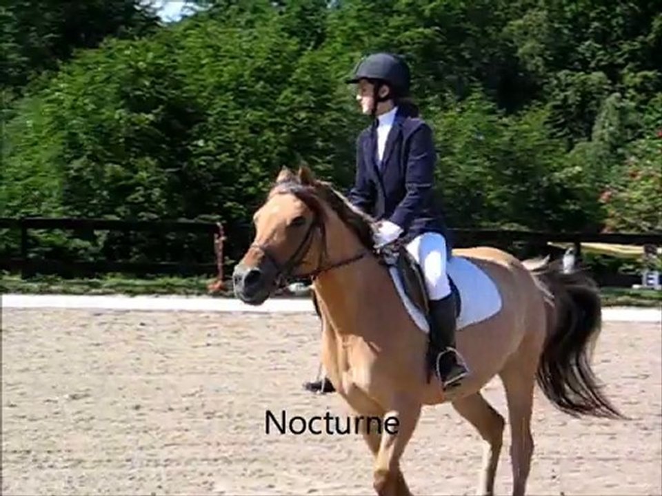 Horse-au-galop générique