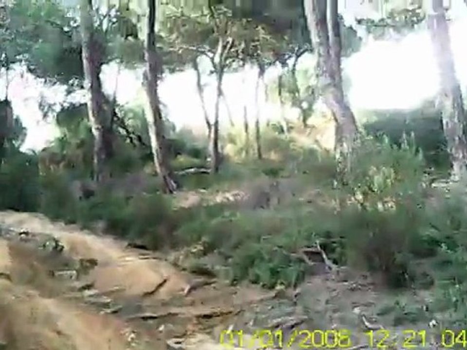 mas videos de pinolandia