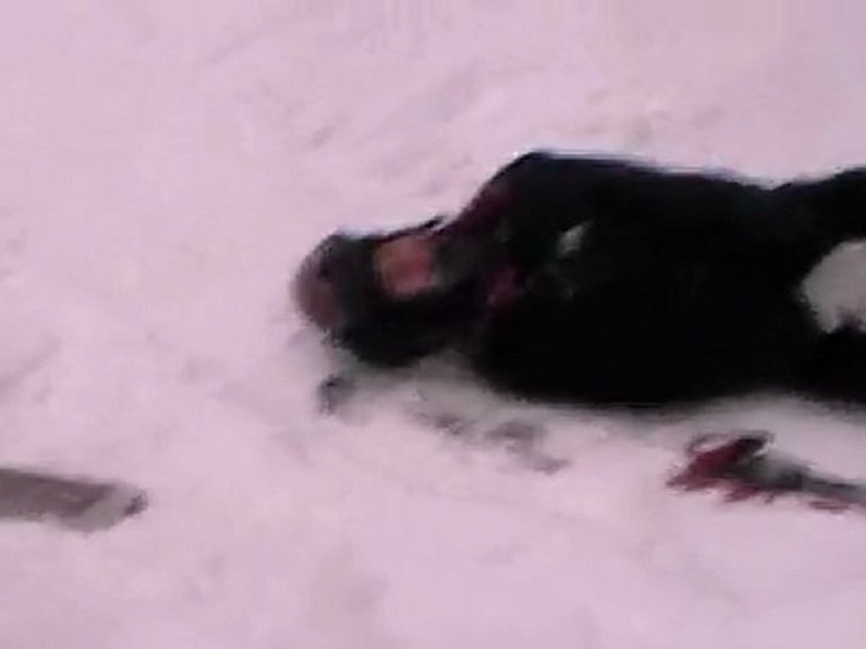 The Art of Falling