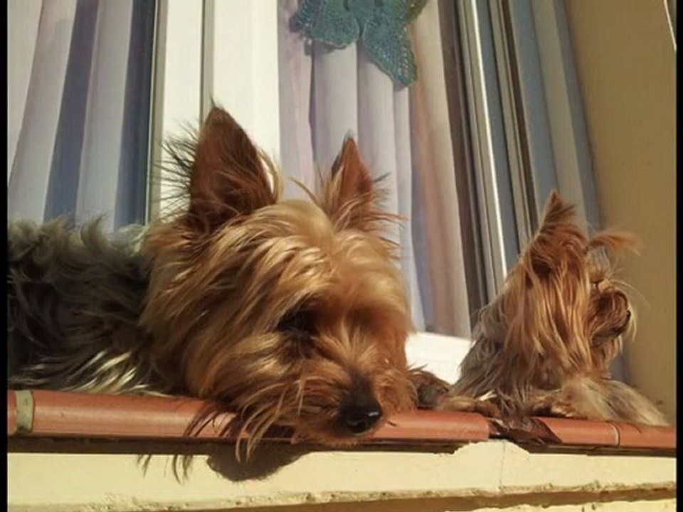 Le printemps fait du bien à tous :) MDR