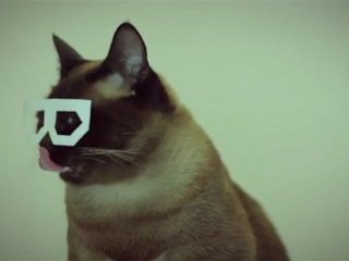 Dubstep Hipster Cat