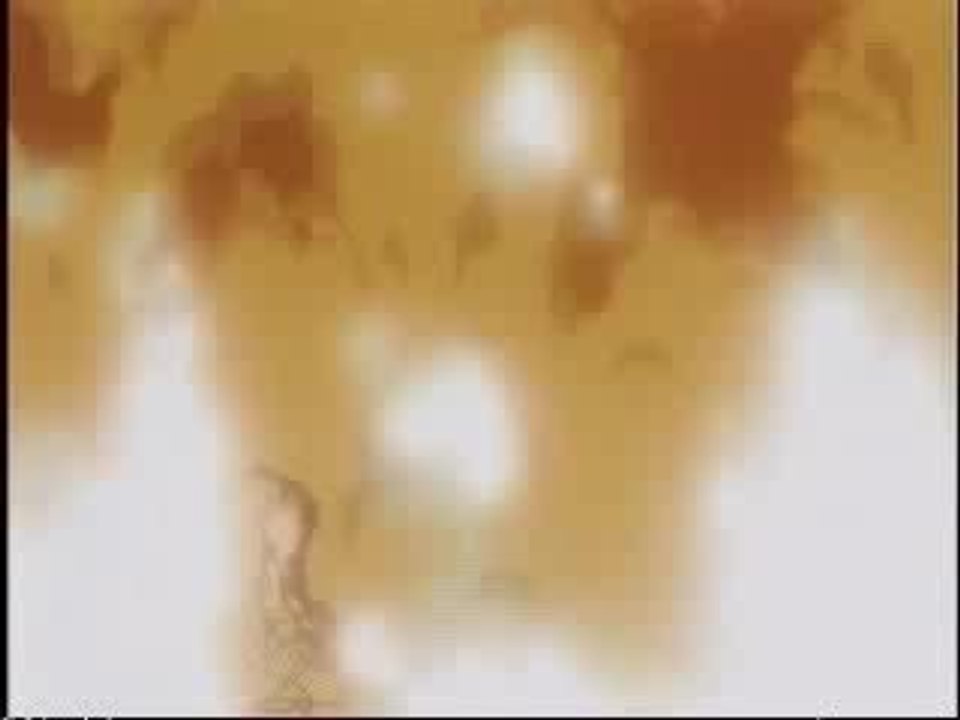DBZ Trunks