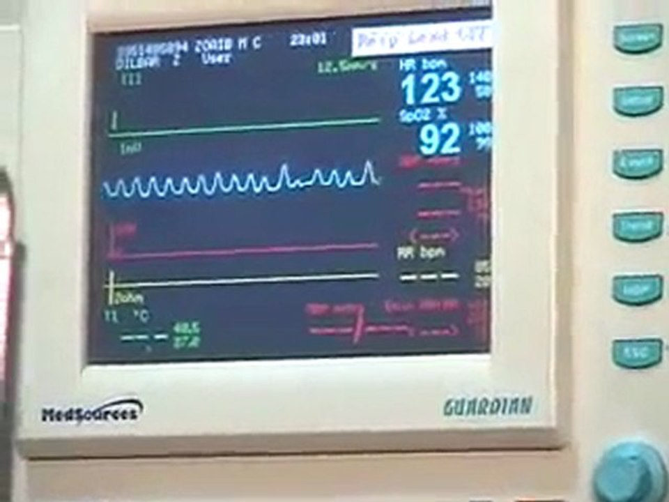 2246507999174_61950