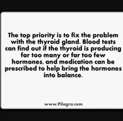 Appreciating the Biotin Hair Growth Connection