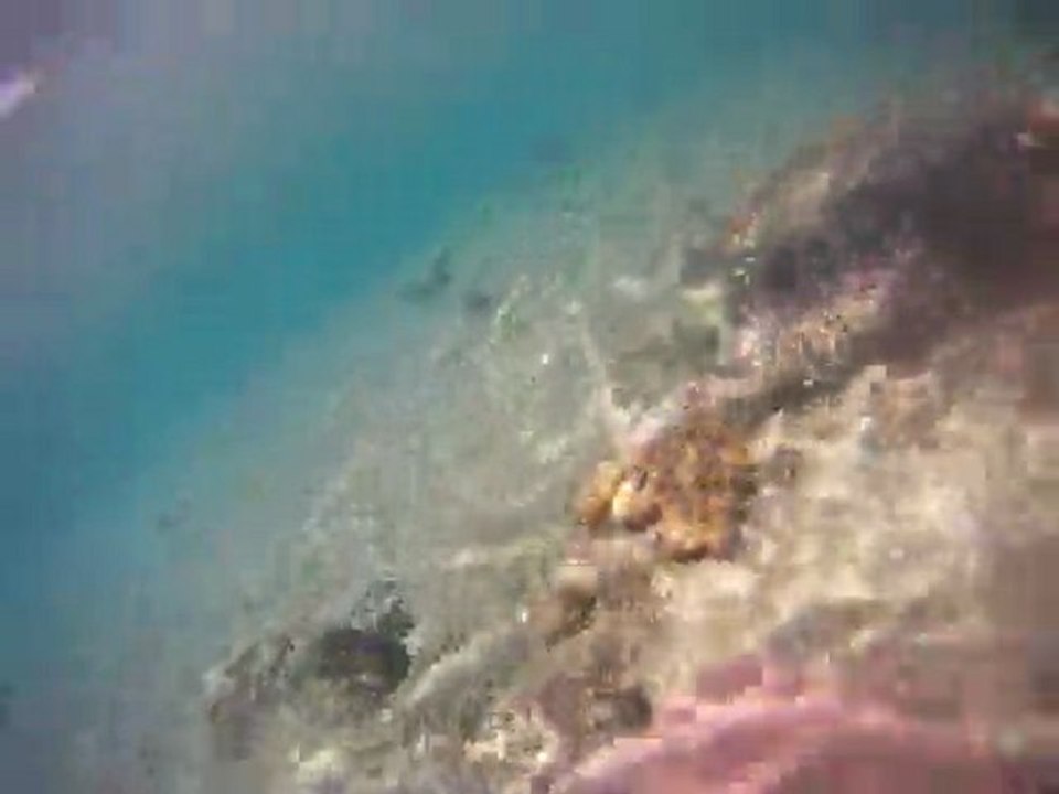 GOPR0089