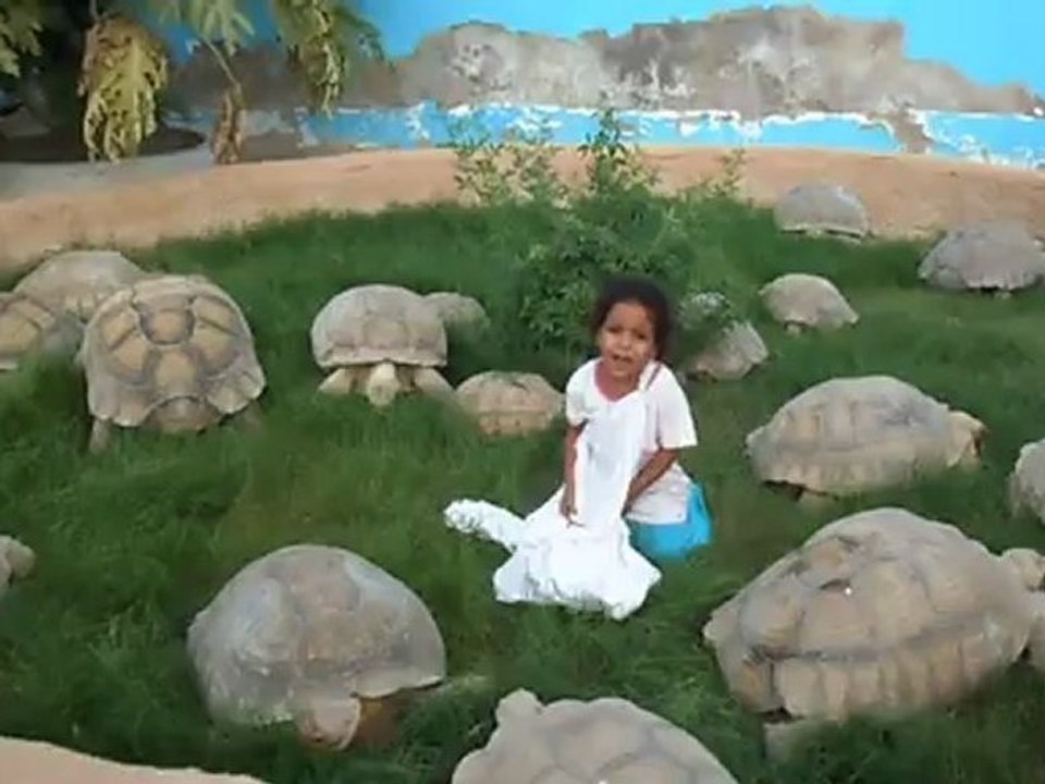 SAM_0773 EMMA folle des tortues