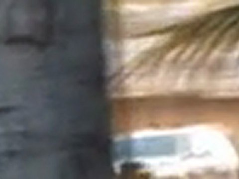 Victoria Beckham on Beverly Blvd.