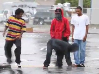 Turf Dancing In The Rain