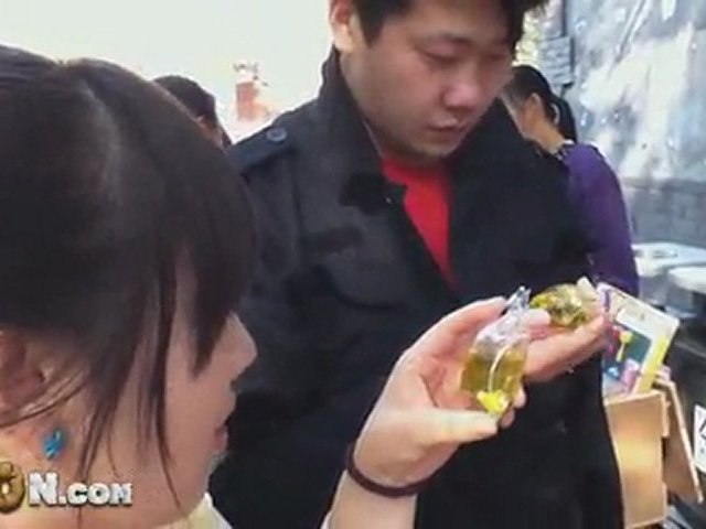 Porte Clef tortue vivante en Chine - Vidéo Dailymotion