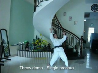 Kỹ thuật quật 1 côn nhị khúc số 1