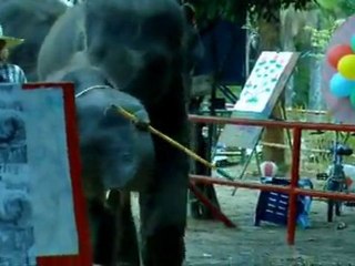Le village éléphant   Ban ta klang (Surin)