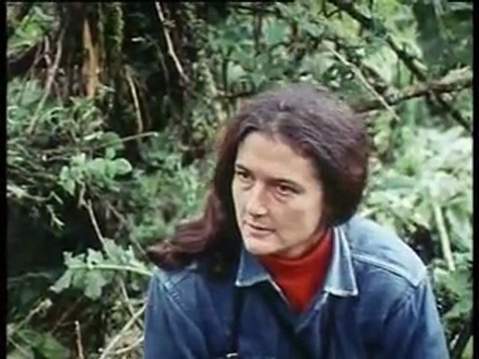 Υπερκινητικός Δάσκαλος-Γορίλες NG - 2