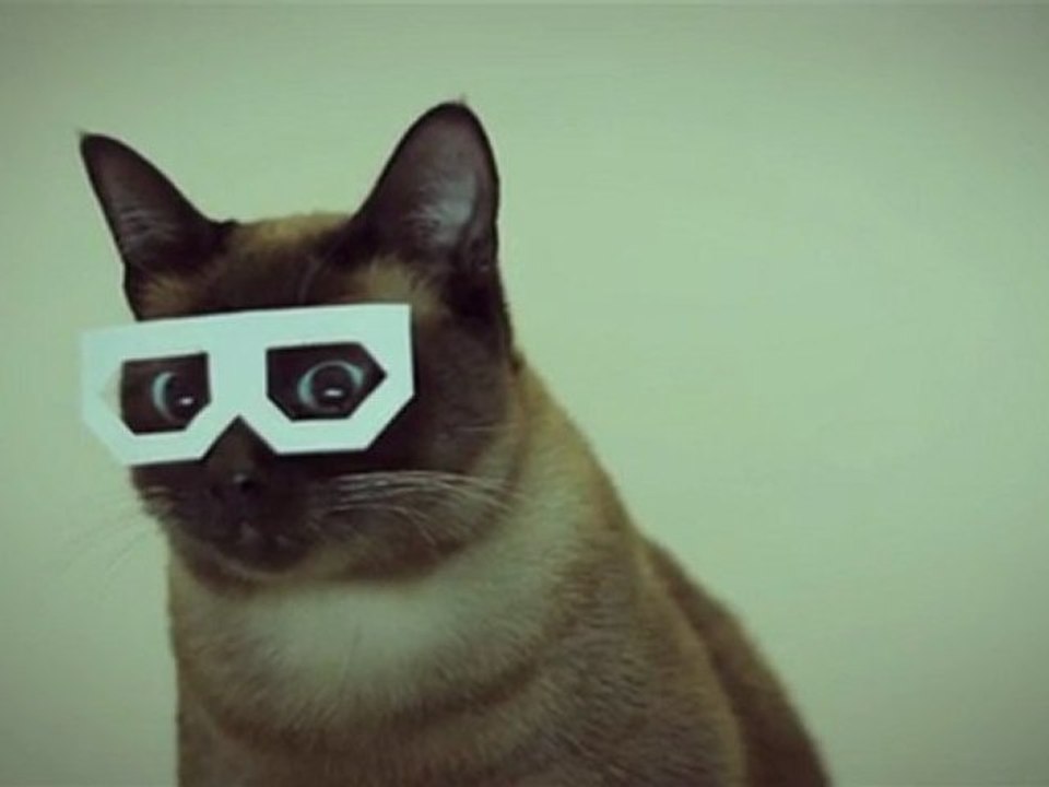 Chat + Dubstep = WTF
