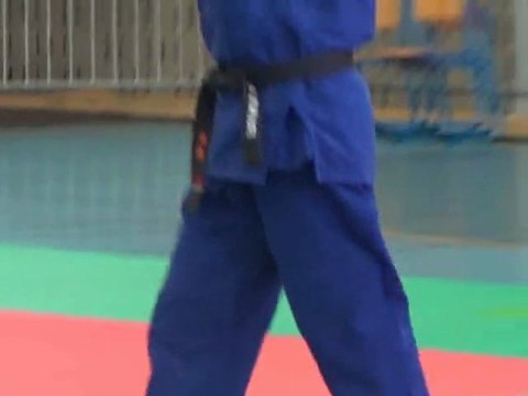 Les petits hommes bleus