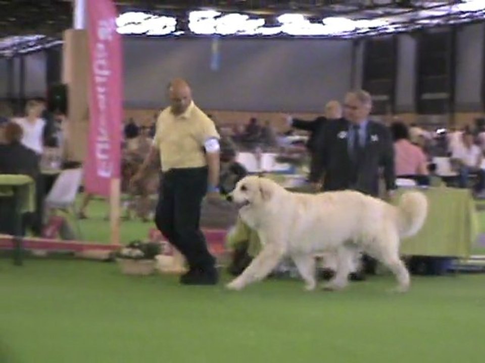 Caline della rocca dei patous  - Mondiale Parigi  2011