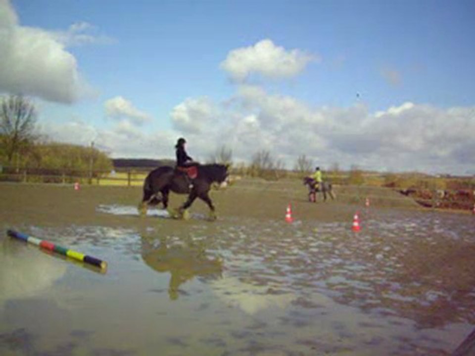Deuxième séance  Willou