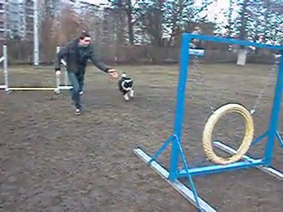 Leucki agility
