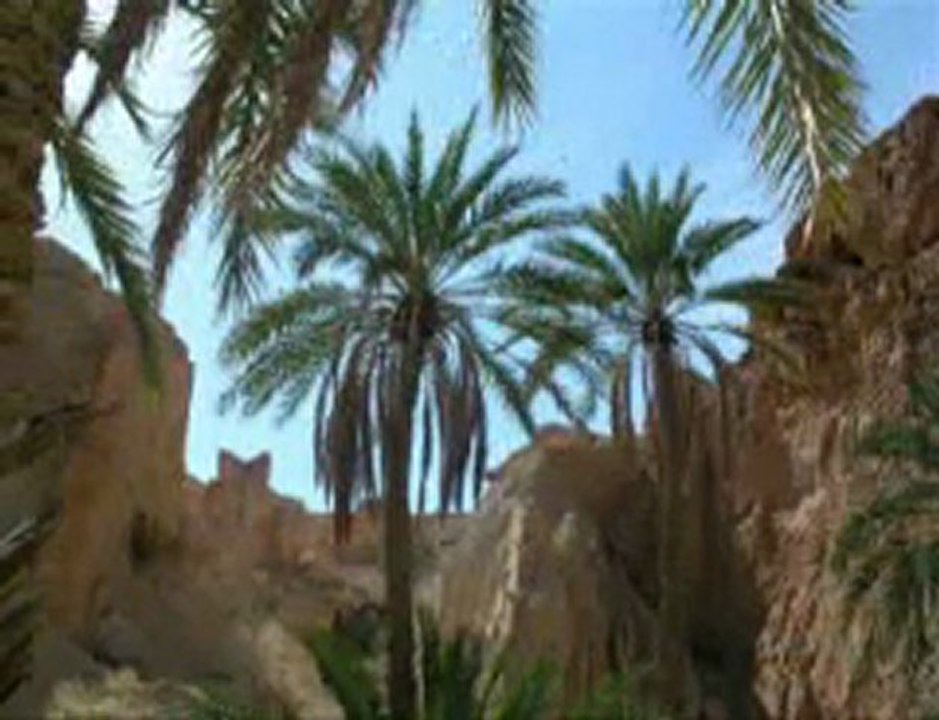 ريحة البلاد يابا