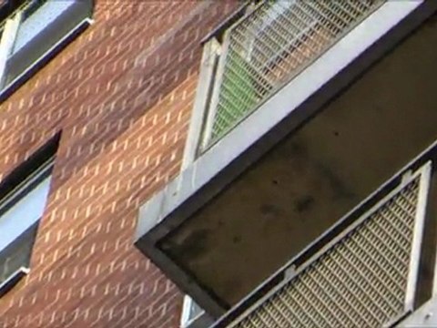 Soluciones caseras a una plaga de palomas en New York