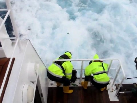 Ils jettent des centaines de bouteilles à la mer
