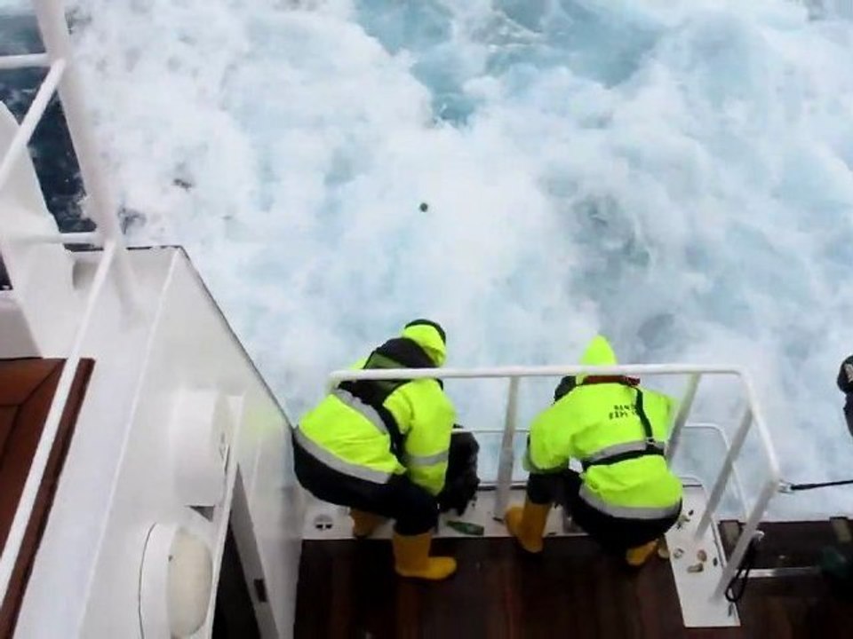 Ils jettent des centaines de bouteilles à la mer