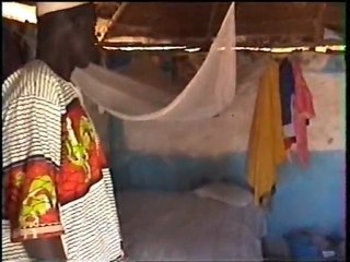 Gambia, The Wallalan Hamlets: Bednet distribution