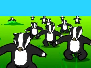 Badger badger