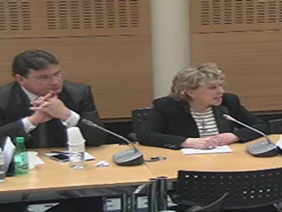 Commission des lois : intervention de Maryse Joissains Masini